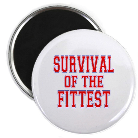 Survival of the Fittest: Are You Mentally Fit?