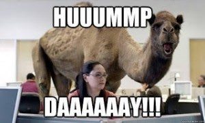 Hump Day